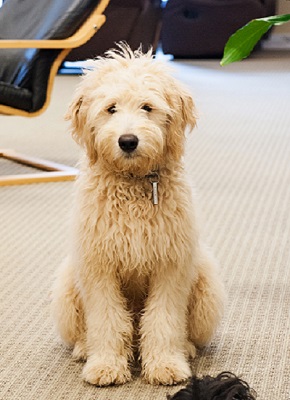 Tucker Photo